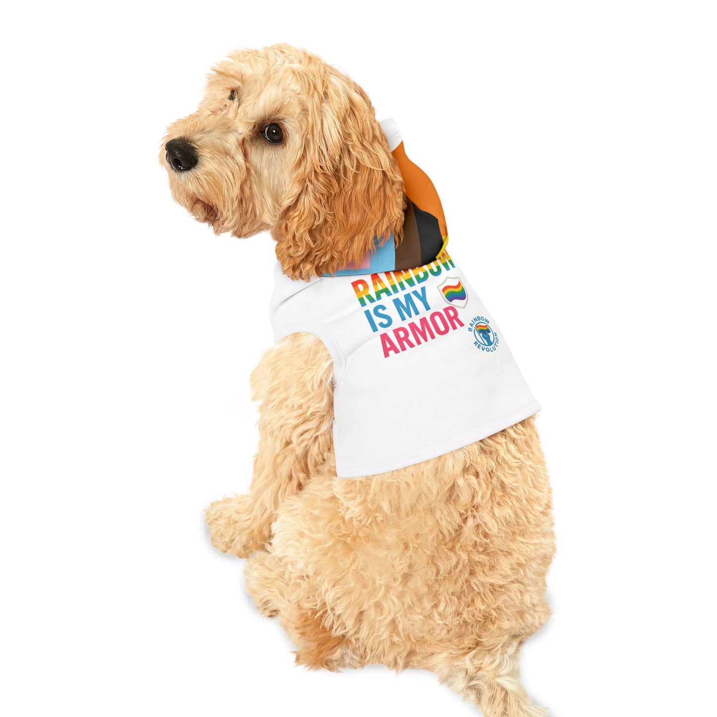 Rainbow Pet Hoodie, Cute Dog Sweater, LGBTQ+ Themed Pet Apparel, Pride Outfit for Dogs, Cozy Fashion for Pets