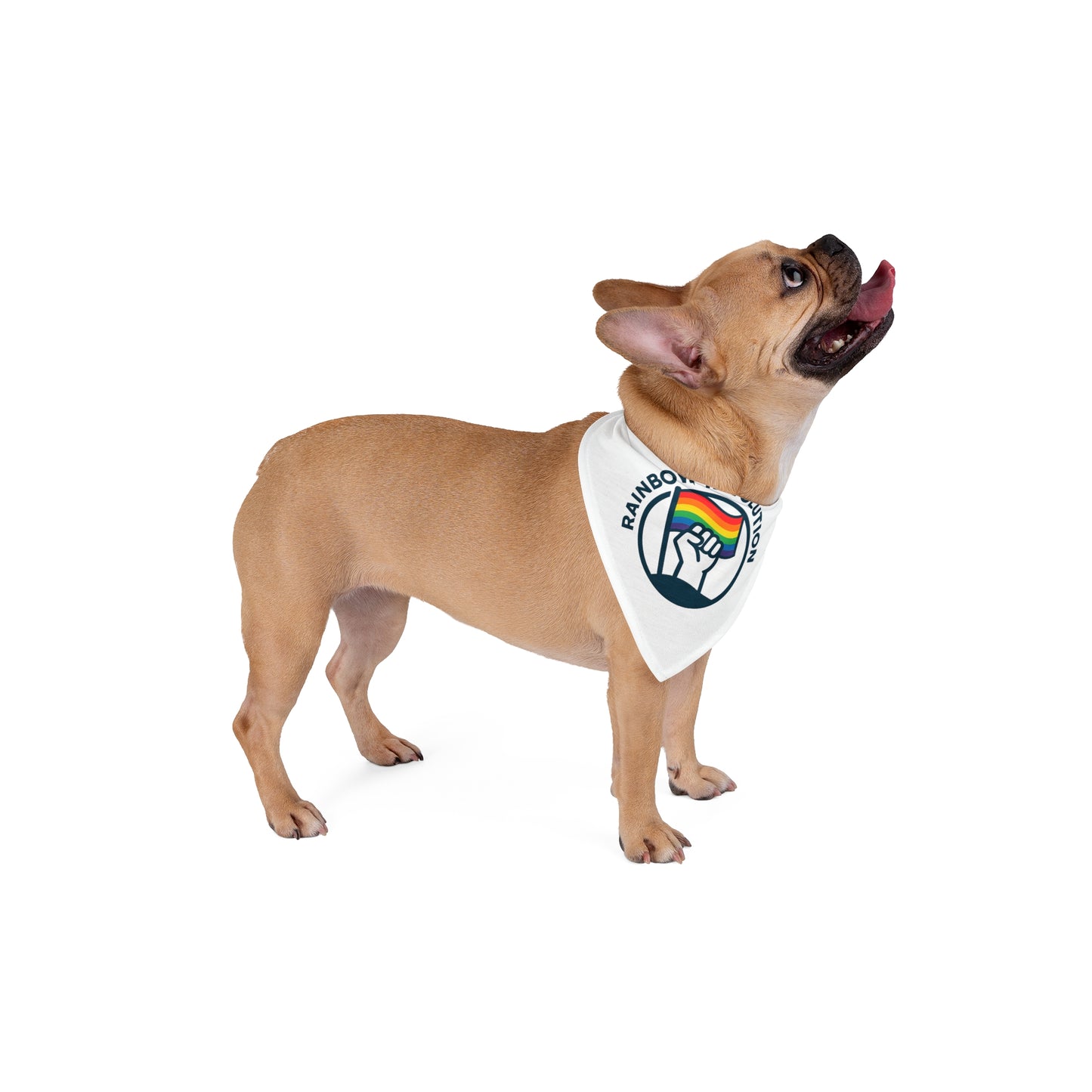 Pride Pet Bandana, Rainbow Revolution Dog Scarf, LGBTQ+ Accessories for Pets, Dog Fashion, Holiday Pet Wear