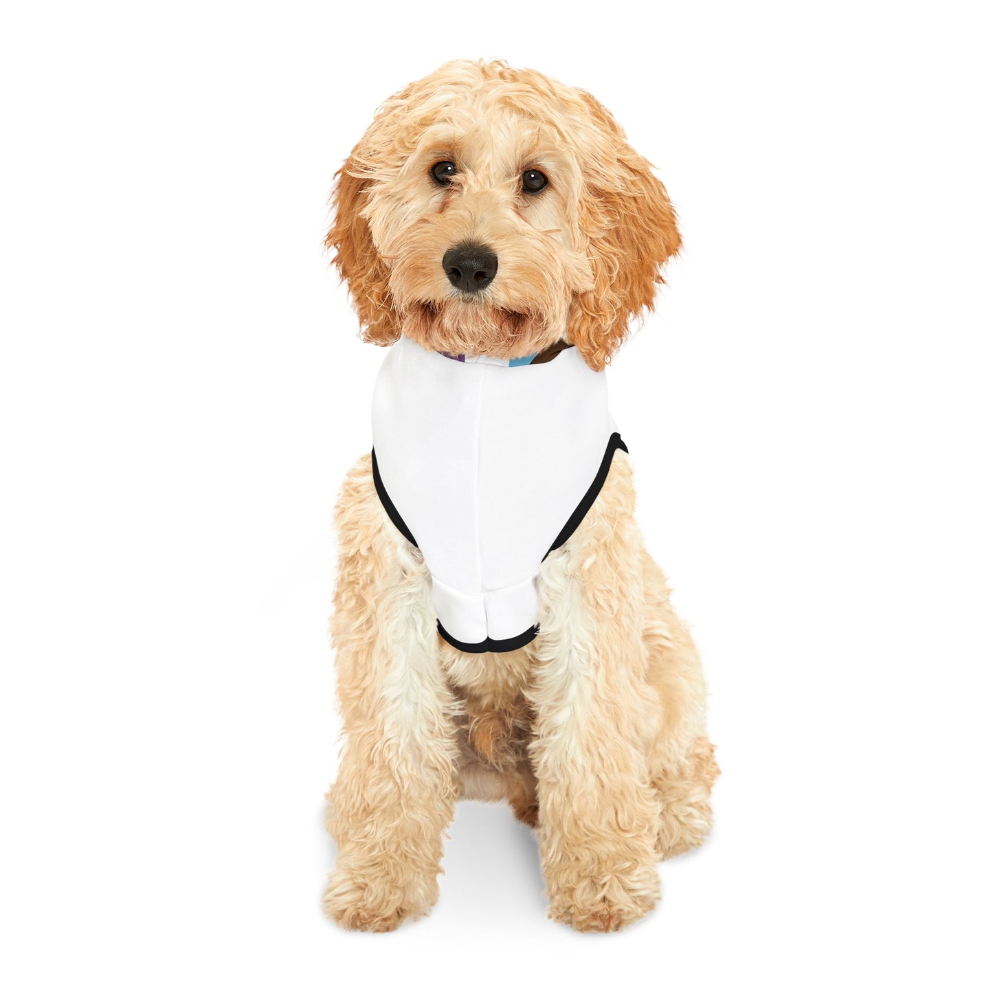 Rainbow Pet Hoodie, Cute Dog Sweater, LGBTQ+ Themed Pet Apparel, Pride Outfit for Dogs, Cozy Fashion for Pets