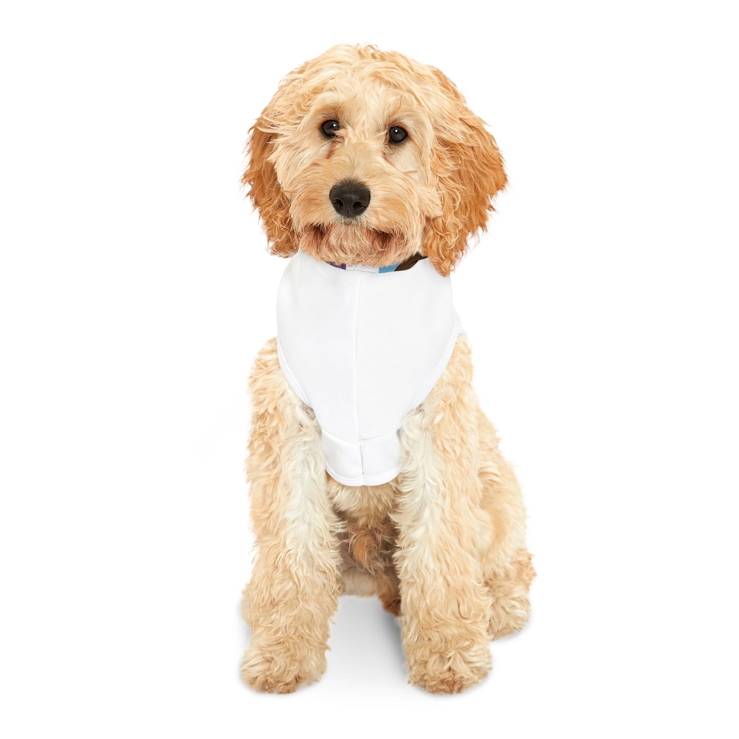 Rainbow Pet Hoodie, Cute Dog Sweater, LGBTQ+ Themed Pet Apparel, Pride Outfit for Dogs, Cozy Fashion for Pets