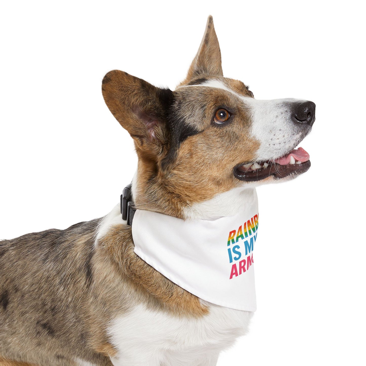 Rainbow Pride Pet Bandana, LGBTQ+ Dog Collar, Cute Accessory for Pets, Pride Month Gift, Adjustable Pet Fashion