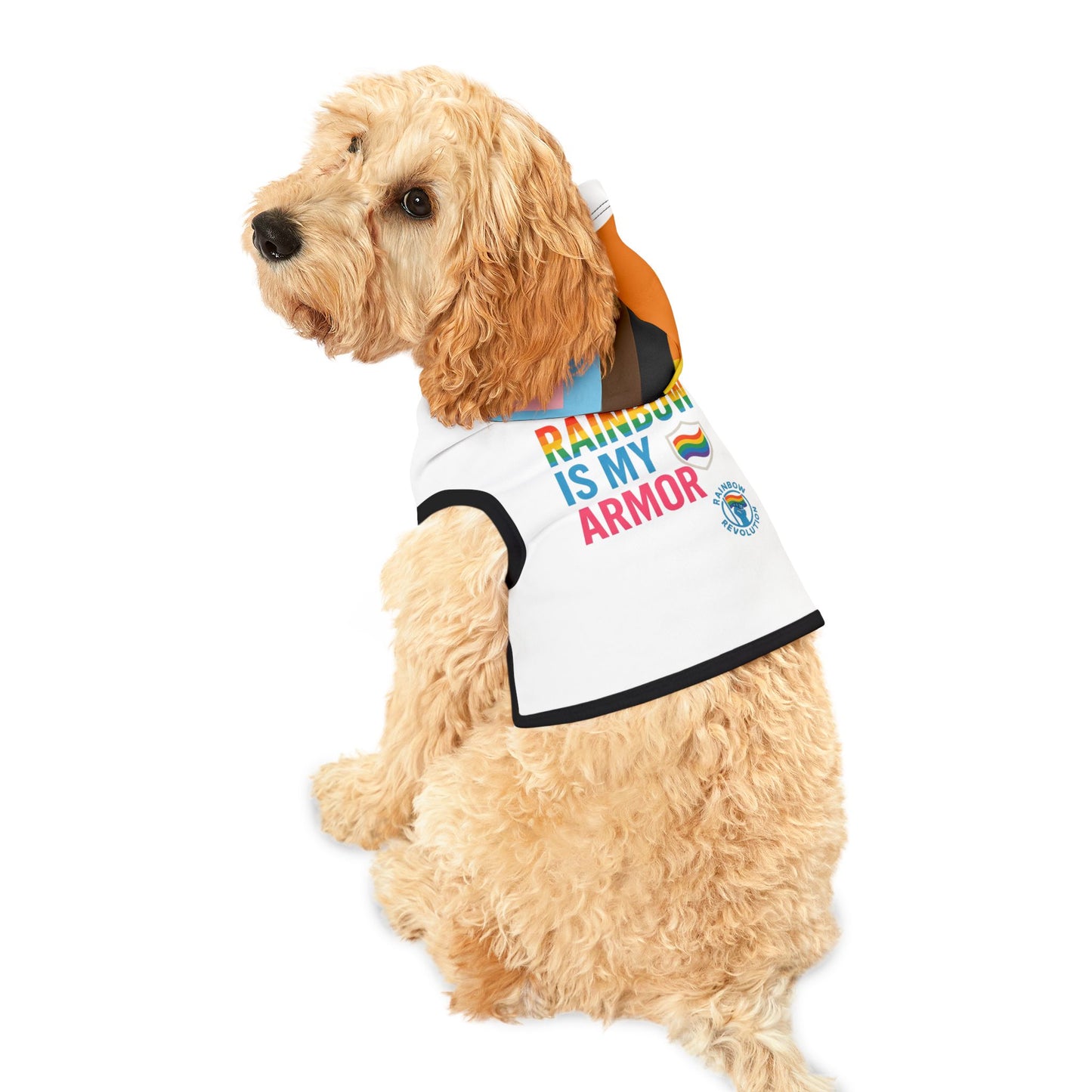 Rainbow Pet Hoodie, Cute Dog Sweater, LGBTQ+ Themed Pet Apparel, Pride Outfit for Dogs, Cozy Fashion for Pets