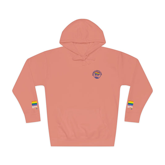 Cozy Pride Unisex Fleece Hoodie, LGBTQ+ Apparel, Comfortable Sweatshirt, Perfect Gift, Rainbow Celebrations, Pride Month